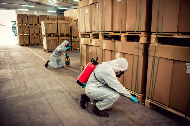 Best Pest Control Treatment  in Fairhope, PA