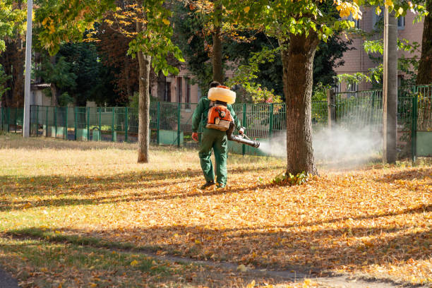 Best Pest Prevention Services  in Fairhope, PA