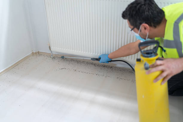 Best Best Pest Control Companies  in Fairhope, PA